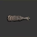 Detailed Standing Zebra With Bold Striped Coat Isolated On Dark Gray Background