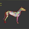 Modern Metallic Dog Sculpture With Skeleton Structure Sleek Lines And Reflective Surface 3d model