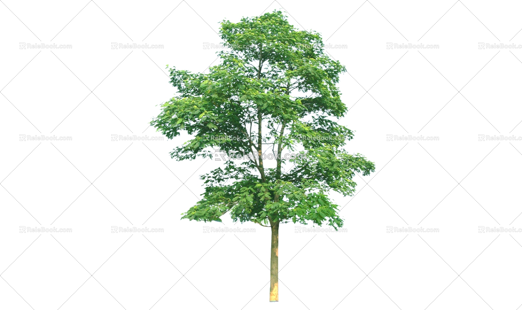 Tree 3d model