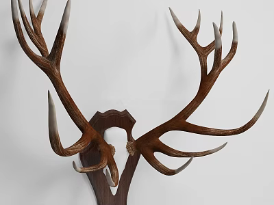 Rustic Animal Wall Decor with Deer Antler Design for Home Interior Decoration 3d model