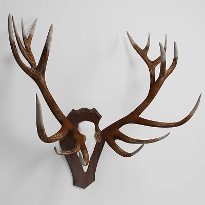 Rustic Animal Wall Decor with Deer Antler Design for Home Interior Decoration 3d model