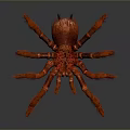 Red Hairy Spider With Large Body And Long Legs On Gray Gradient Background