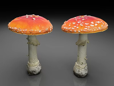 Two Orange Red Mushrooms With White Spots On Caps White Stems And Roots 3d model