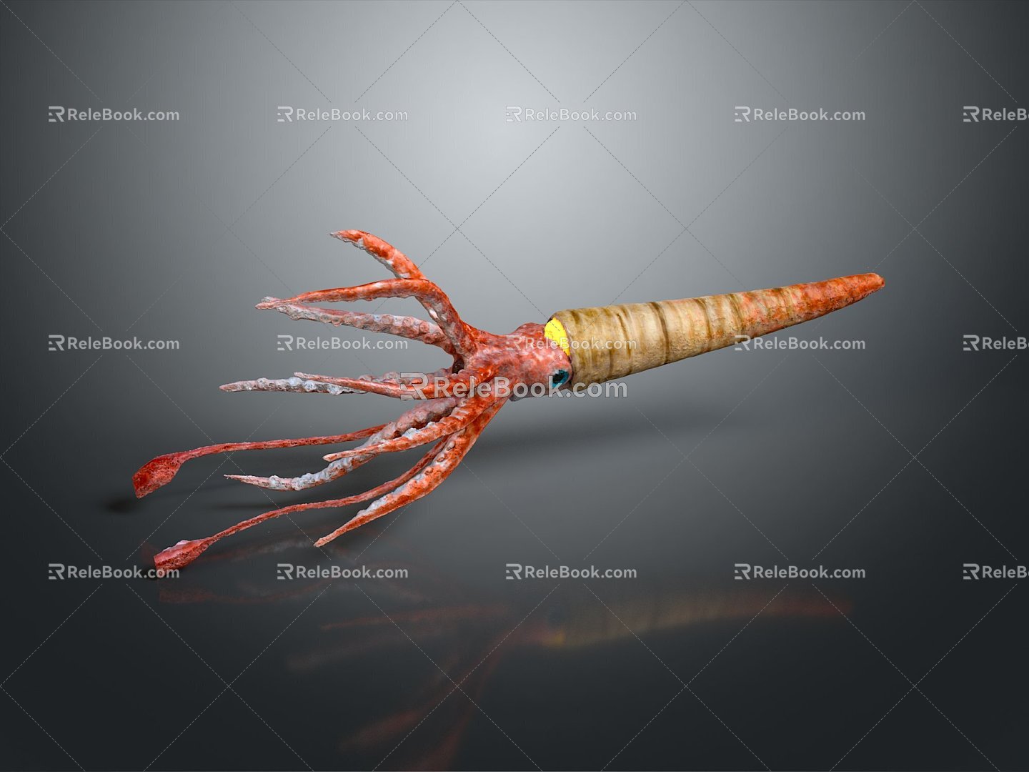 Cuttlefish Squid Cuttlefish Squid Squid Octopus Beads Squid Octopus Octopus Heart-fin Whip Squid 3d model