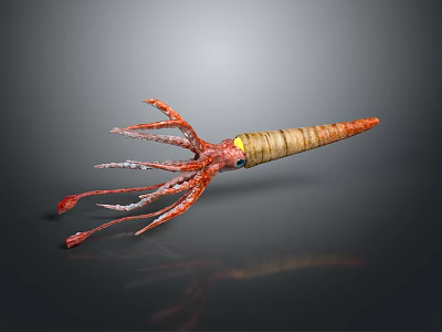 Unique orange sea squid with multiple tentacles white spots yellow midsection 3D model reflection 3d model