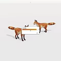 Two Red Foxes Standing On White Background With Open Mouths And Tails
