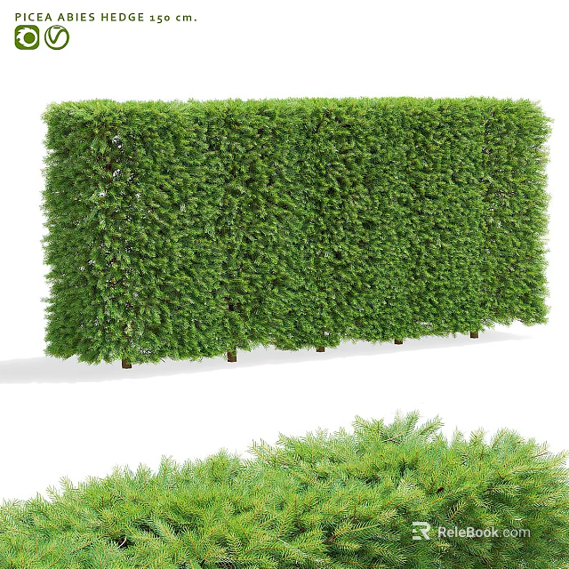 Green Dense Trimmed Hedge For Garden Landscape Privacy And Decorative Fence 3d model 