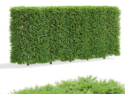 Green Dense Trimmed Hedge For Garden Landscape Privacy And Decorative Fence 3d model