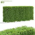 Green Dense Trimmed Hedge For Garden Landscape Privacy And Decorative Fence