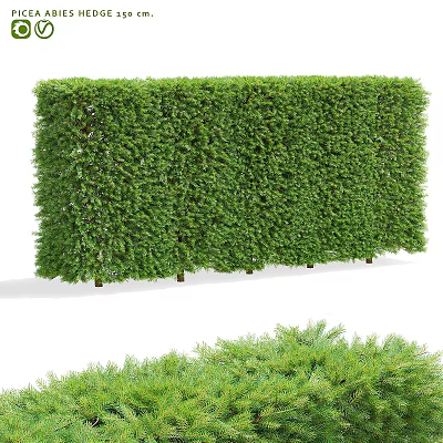 Green Dense Trimmed Hedge For Garden Landscape Privacy And Decorative Fence 3d model