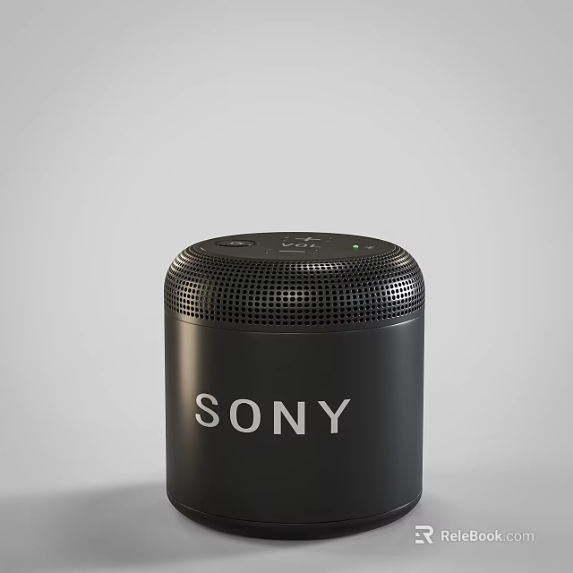 Sony Black Wireless Speaker With Mesh Grill And Modern Look 3d model 