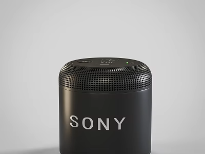 Sony Black Wireless Speaker With Mesh Grill And Modern Look 3d model