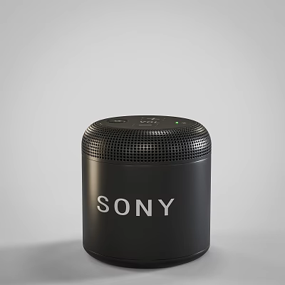 Sony Black Wireless Speaker With Mesh Grill And Modern Look 3d model