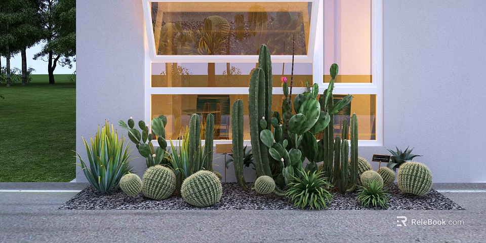 Various Cactus Succulent Plants In Potted Arrangement By Window With Gravel 3d model 