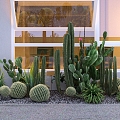 Modern Cactus Outdoor Landscape 3d model