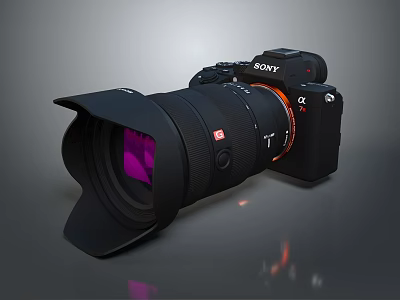 Sony Professional Digital Camera With Large Lens And Black Body Design 3d model Sony Professional Digital Camera With Large Lens And Black Body Design 3d model