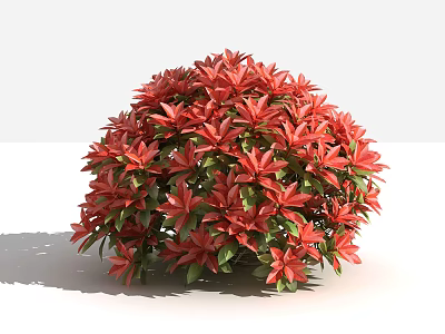Lush Round Garden Shrub With Vibrant Red Flowers And Green Leaves 3d model