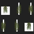 Lush Green Decorative Vines Hanging Climbing Walls And Wrapping White Pillars