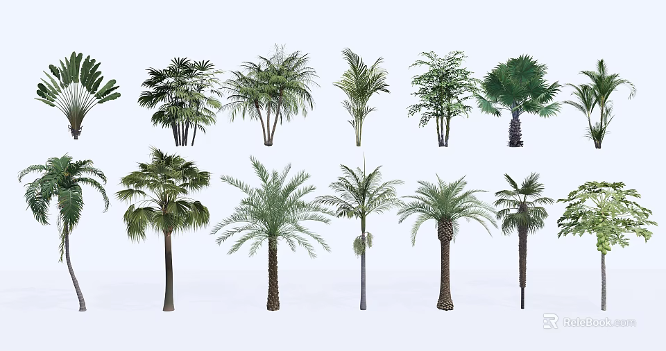 Different Types Of Arbor Trees For Garden And Landscape Decoration 3d model 