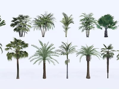 Different Types Of Arbor Trees For Garden And Landscape Decoration 3d model
