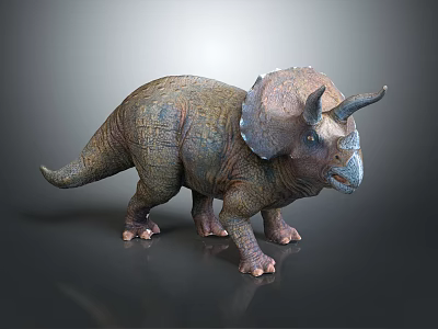 Detailed Realistic Triceratops Dinosaur Model With Three Horns And Frill 3d model