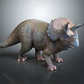 Detailed Realistic Triceratops Dinosaur Model With Three Horns And Frill