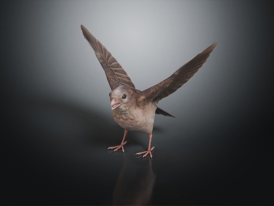 Modern Sparrow Birds Wildlife 3d model