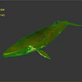 Detailed Golden Whale 3D Render With Glossy Surface On Gray Background