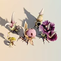 Unique Exotic Flowers with Purple White Petals Pink Spherical Structures Red Root Bases