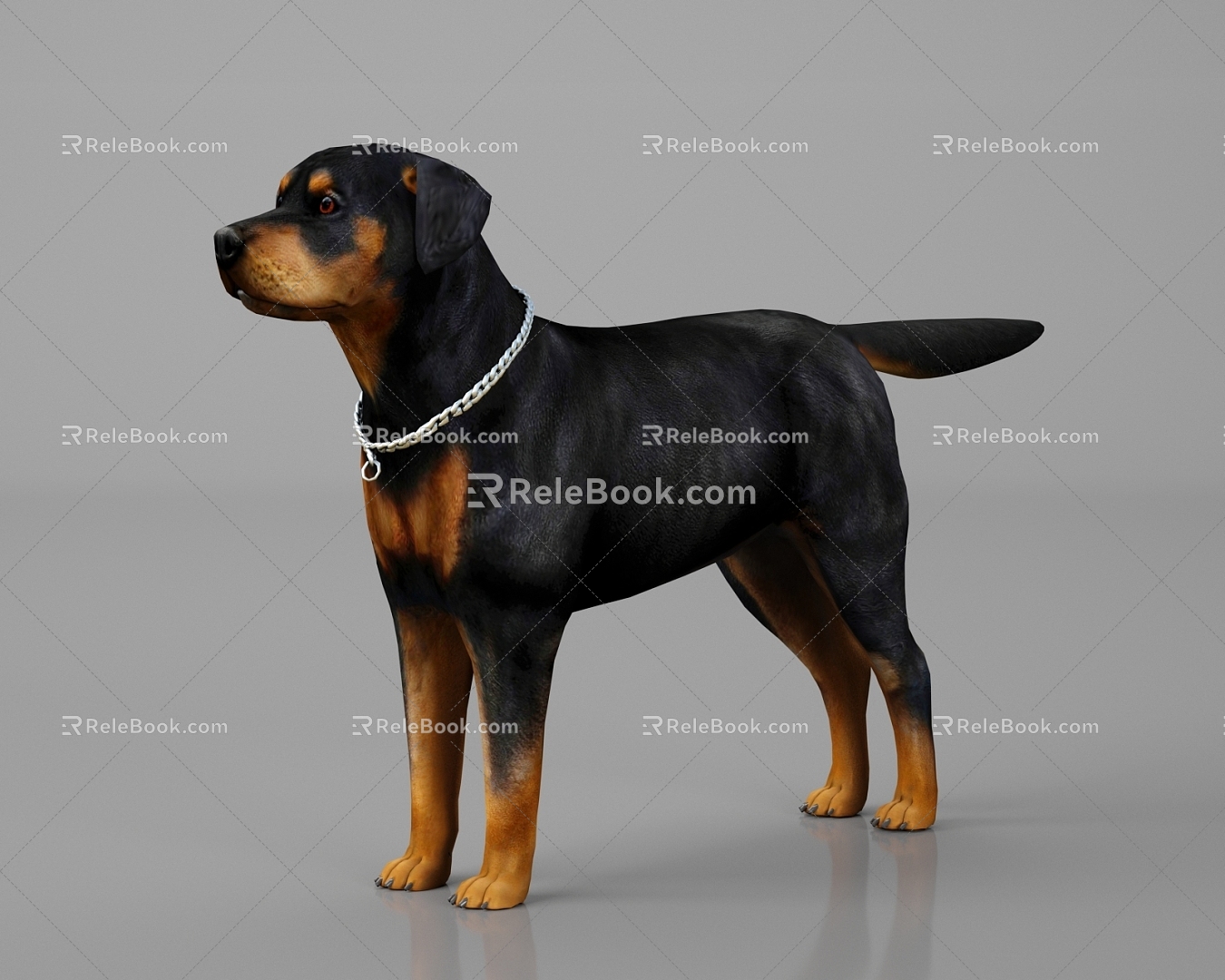 Animal Livestock Dog Rottweiler Dog Dog Black Dog Chain 3d model