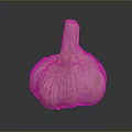 Natural Whole Garlic Bulb With Fresh Pink And White Skin Texture On Dark Surface