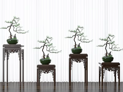 Bonsai Trees in Green Pots on Dark Wooden Chinese Style Stands against White Curtain Background 3d model