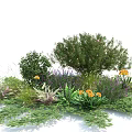 Lush Garden Shrubs With Green Herbs Yellow Flowers And Purple Blooms Creating Vibrant Outdoor Landscape