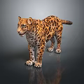 3D Rendered Leopard Standing With Yellow Black Spotted Fur And Reflection On Gray Background
