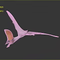 Pterosaur with Spread Wings and Orange Crest on Gray Gradient Background with Reflection 3d model