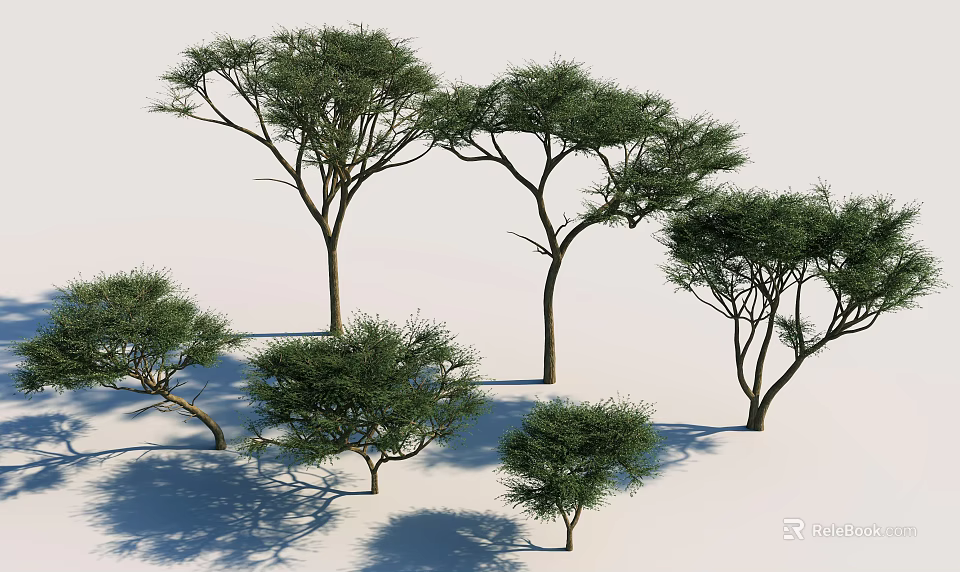 Natural Arbor Trees In Various Heights With Lush Green Foliage And Ground Shadows 3d model 