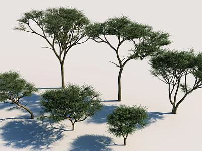 Natural Arbor Trees In Various Heights With Lush Green Foliage And Ground Shadows 3d model