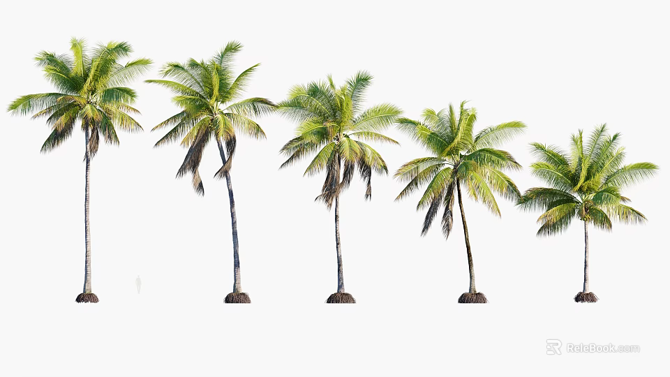 Tall Tropical Palm Trees With Green Fronds In A Row Natural Scene 3d model 