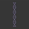 DNA Molecule Double Helix Structure With Violet Blue Glowing On Dark Background