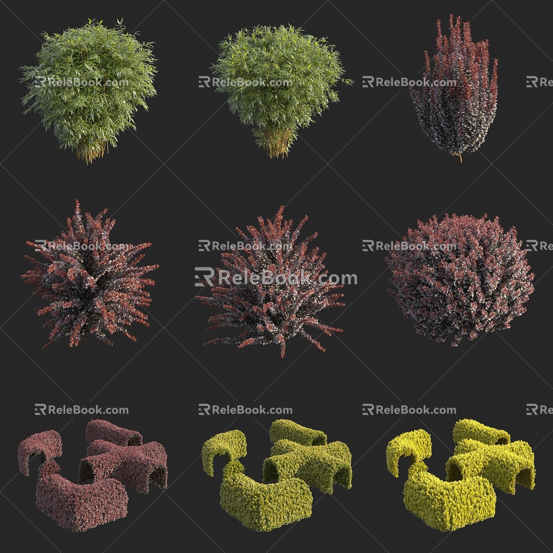 shrub hedgerow horticultural green belt plant 3d model