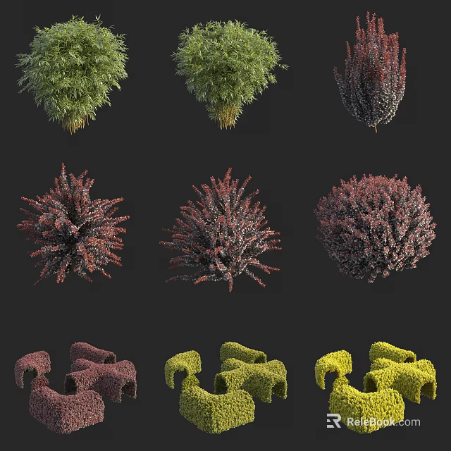Colorful Diverse Shrub Varieties With Green Red And Yellow Foliage For Garden Landscaping 3d model 