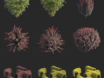 Colorful Diverse Shrub Varieties With Green Red And Yellow Foliage For Garden Landscaping 3d model
