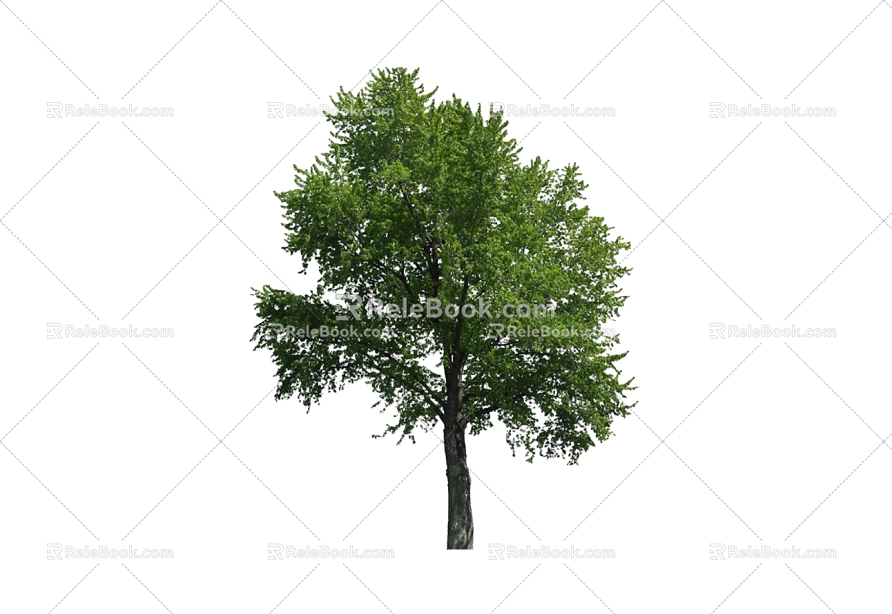 Tree 3d model