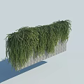 Lush Green Vines Growing On Gray Rectangular Wall With Dense Hanging Foliage 3d model