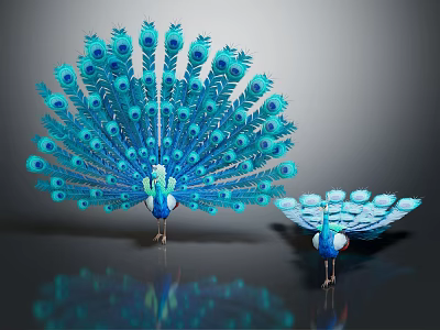 Two Blue Peacocks Displaying Feathers On Gray Background With Shiny Floor 3d model