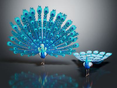 Modern Peacock Open Screen model