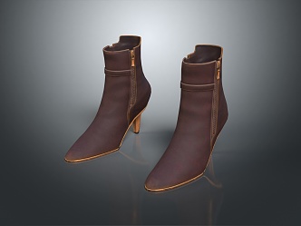 Modern Boots High Heel Boots Leather Boots Women's Leather Boots 3d model