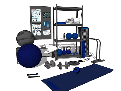 Essential Sports Equipment Collection With Yoga Balls Dumbbells Yoga Mat And Towels On Shelf 3d model