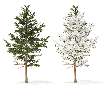 The Modern Tree 3d model