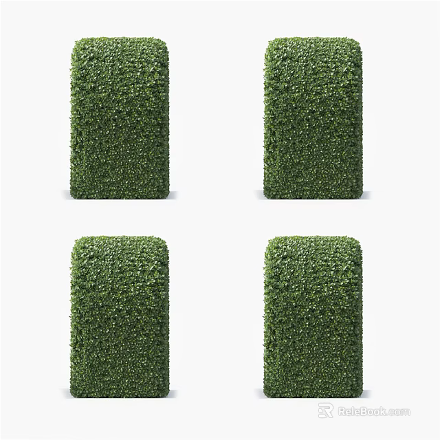 Four Well Trimmed Columnar Green Bushes For Garden Landscape Decoration 3d model 